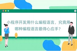 小程序开发用什么编程语言，究竟用哪种编程语言最得心应手？