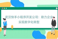 武汉快手小程序开发公司：助力企业实现数字化转型