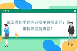 武汉微信小程序开发平台哪家好？百推科技值得推荐！