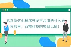 武汉微信小程序开发平台用的什么语言探索：百推科技的独到见解！