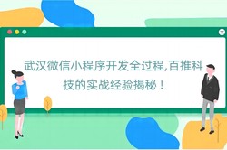 武汉微信小程序开发全过程,百推科技的实战经验揭秘 !