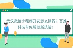 武汉微信小程序开发怎么挣钱？百推科技带你解锁新技能！