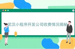 武汉小程序开发公司收费情况揭秘